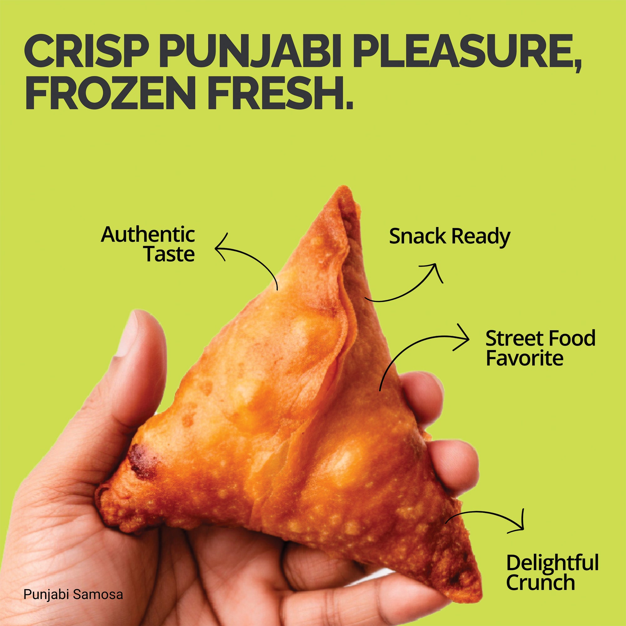 Punjabi Samosa